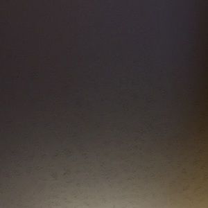 Meet your Posher, Tanya